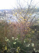 resize0990.jpg