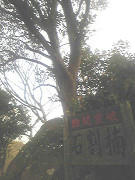 resize0994.jpg