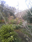 resize0996.jpg