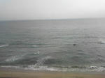 resize1011.jpg