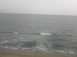 resize1014.jpg