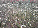 resize1020.jpg