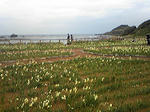 resize1024.jpg