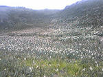 resize1026.jpg