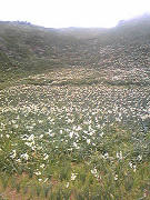 resize1028.jpg