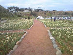 resize1029.jpg