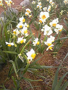 resize1030.jpg