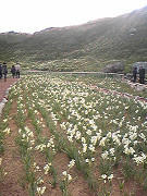 resize1031.jpg