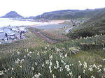 resize1035.jpg