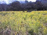 resize1038.jpg