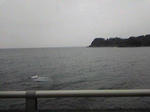 SBSH02841.JPG