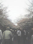SBSH03811.JPG