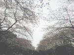 SBSH03831.JPG