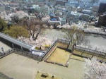 SBSH03981.JPG