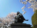 SBSH04001.JPG