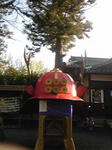 SBSH04171.JPG