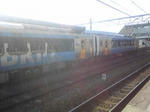 SBSH04101.JPG