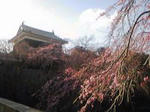 SBSH04151.JPG