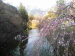 SBSH04221.JPG