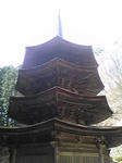 SBSH04401.JPG