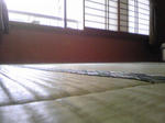 SBSH04371.JPG