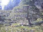 SBSH04411.JPG