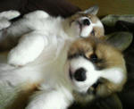 200703061454000.jpg