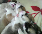 200702110845000.jpg