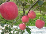 e7615341.jpg