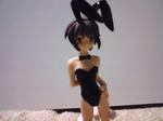 suzrin012.jpg