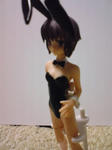 suzrin013.jpg