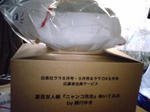 suzrin164.jpg
