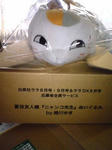 suzrin163.jpg