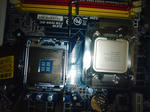 suzrin273.jpg