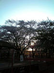 110412_1.jpg