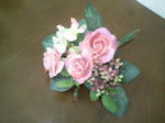 DCF_0123.JPG