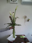 DCF_0231.JPG