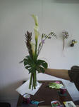 DCF_0232.JPG