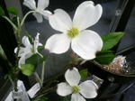 DCF_0210.JPG