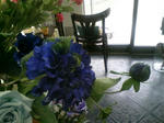 DCF_0207.JPG