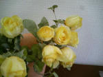 DCF_0147.JPG