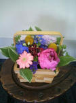 DCF_0408.JPG