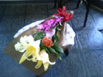 DCF_0099.JPG