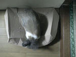 DCF_0473.JPG