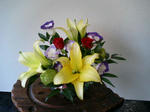 DCF_0252.JPG