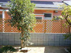 090909-2.jpg