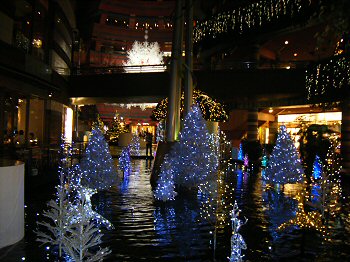 091219-3.jpg