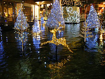 091219-4.jpg
