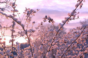 080207A.jpg