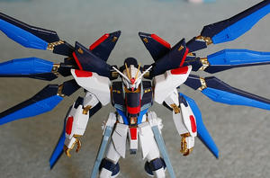 stfa01.jpg